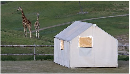 San Diego Zoo Lets Visitors Sleep with Animals