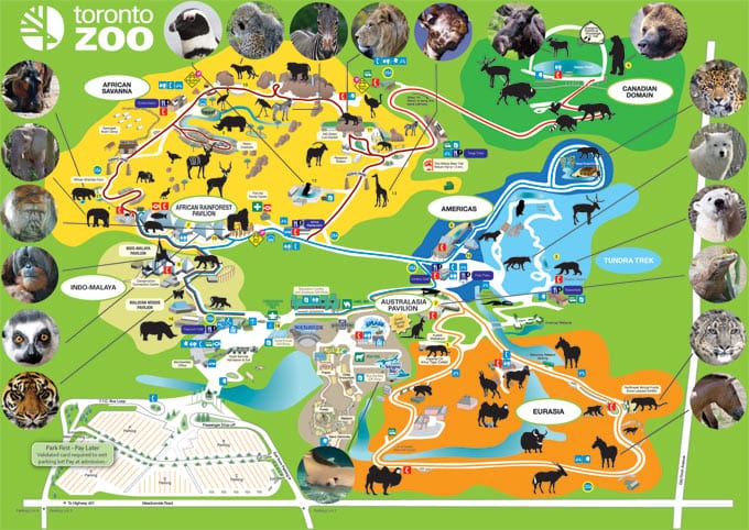 Daytripping in Ontario ~ The Toronto Zoo