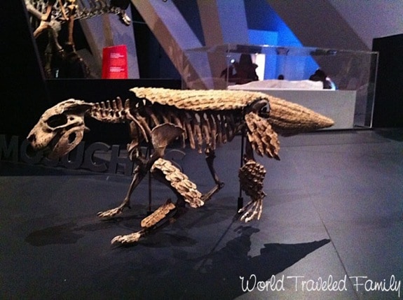 Royal Ontario Museum - crocodilian dinosaur