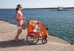 The Joovy CocoonX2 ~ My Top Pick For Summer Day Trips