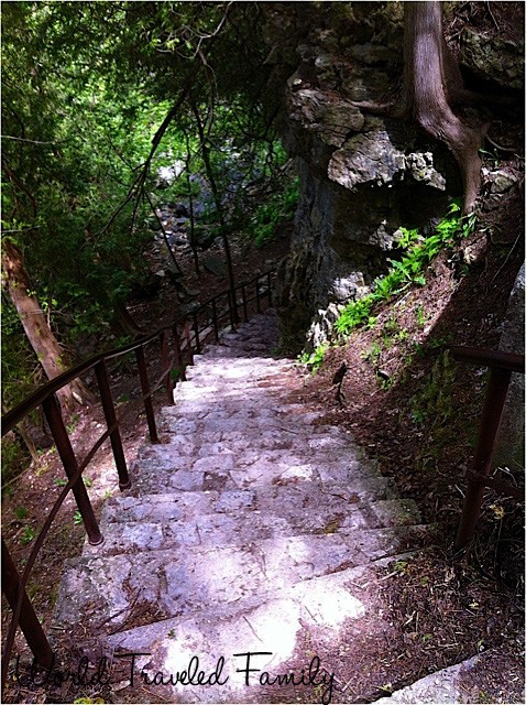 Stairs leading down to Elora Gorge