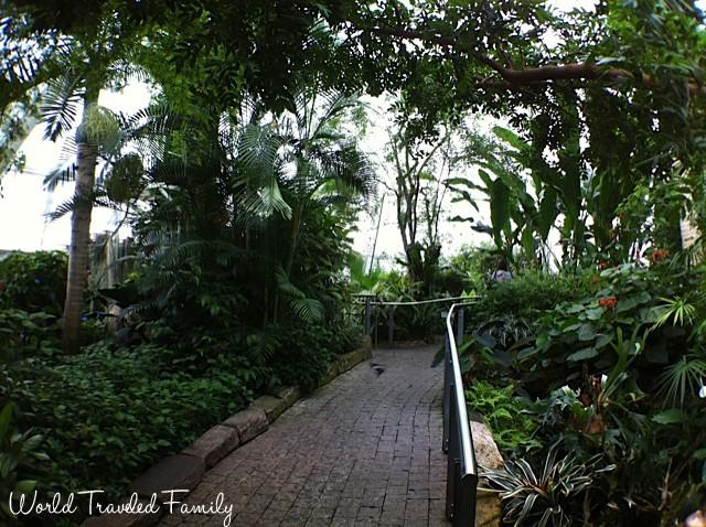 paths headed through Niagara Butterfly Conservatory