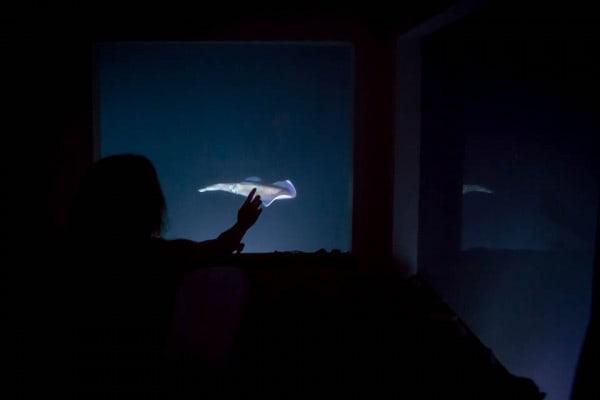 The Manta Resort - the underwater room at night