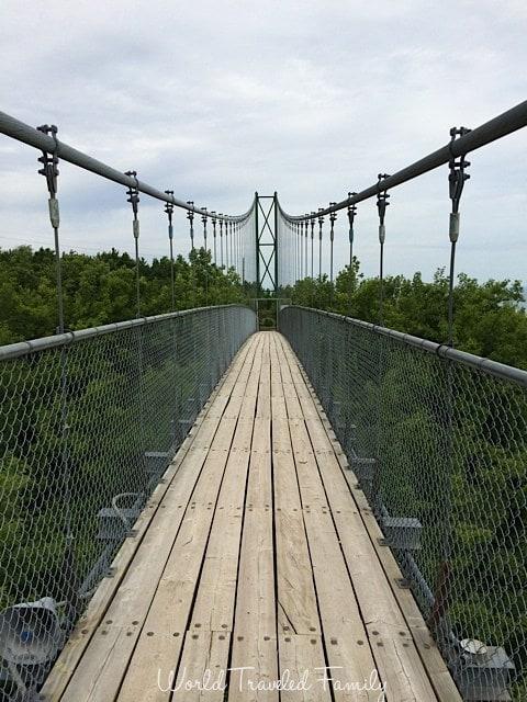 Suspension bridge - Collingwood scenic caves tour