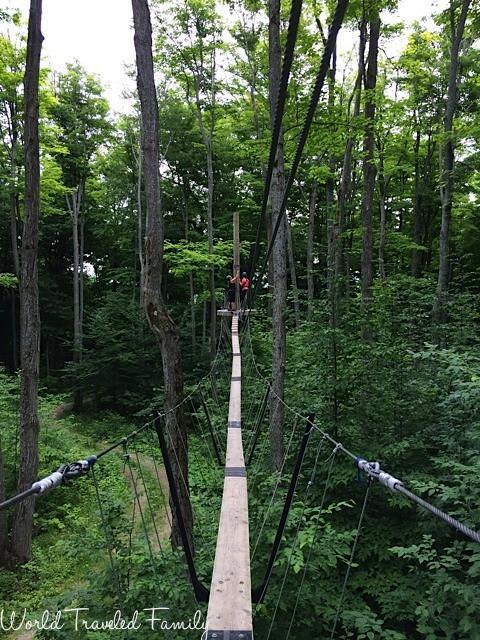 Trekking & Zipping Through The Trees in Collingwood