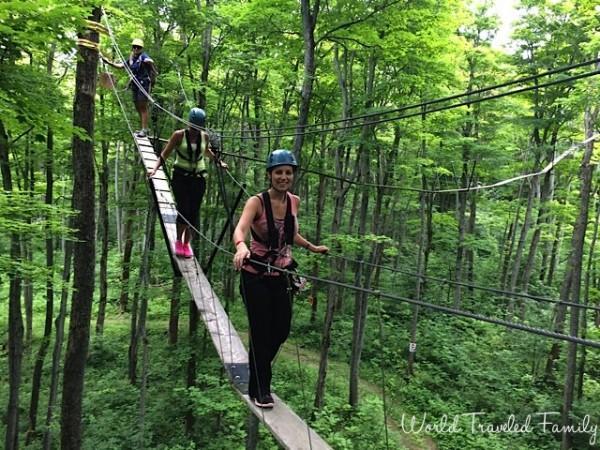 Treetop trekking Collingwood scenic caves tour