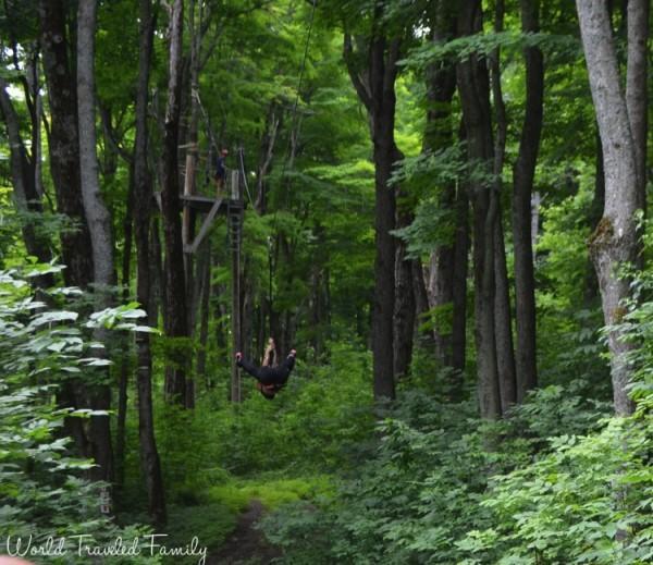 first zip - Collingwood scenic caves tour