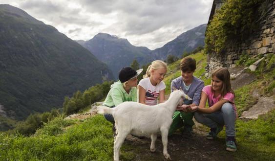 Norwegian Fjords family vacation