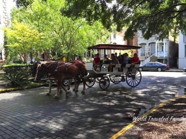 Savannah Georgia - carriage ride Lafayette square