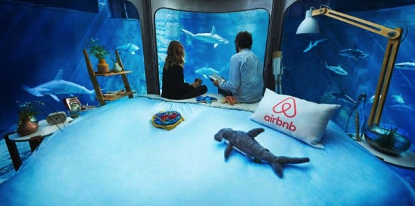 AIRBNB Aquarium shark sleepover