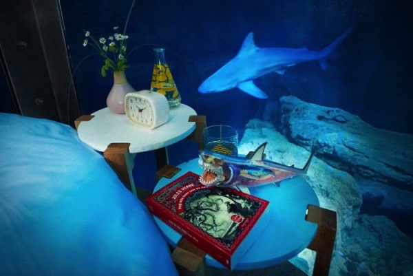 AIRBNB Aquarium shark sleepover.