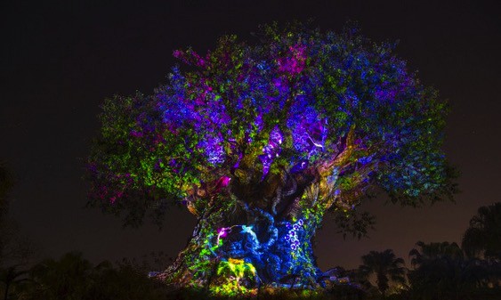 Tree of Life Awakens at Disneys Animal Kingdom at Night