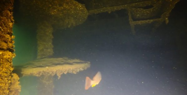 Underwater ROV exploring the USS Arizona