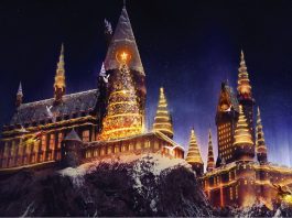 The Wizarding World Of Harry Potter Christmas
