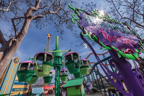 Six Flags Fiesta Texas POISON IVY Toxic Spin